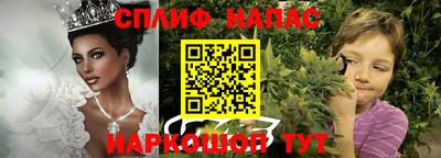 Альфа ПВП Ставрополь