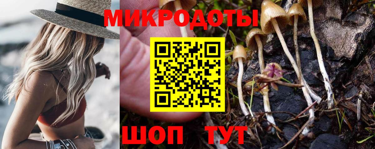 Галлюциногенные грибы Psilocybine cubensis  Вход с VPN  Орёл 